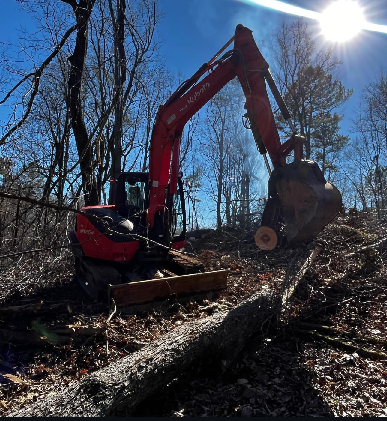 Land Clearing